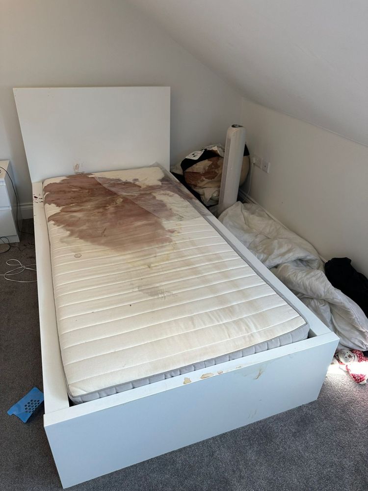 Avant : chambre fortement contaminée
